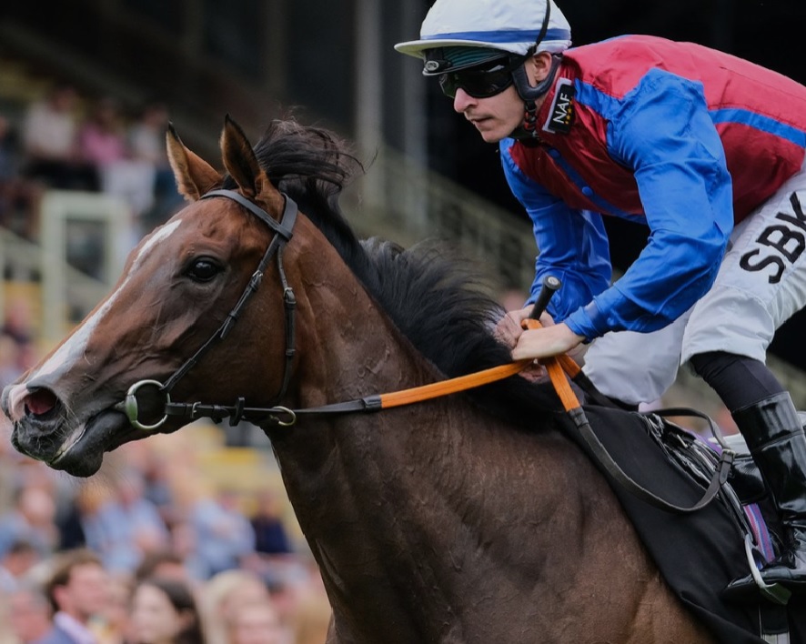 Jockey riding horse leaning forward in galloping motion.